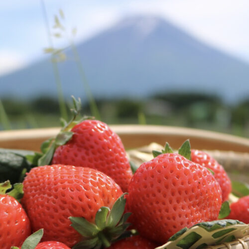 富士山アグリファーム